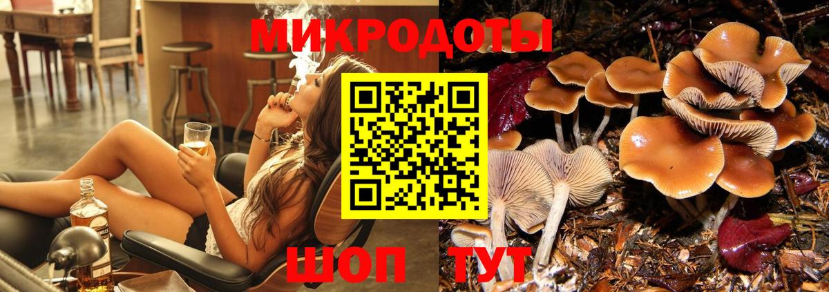 Галлюциногенные грибы прущие грибы Клинцы